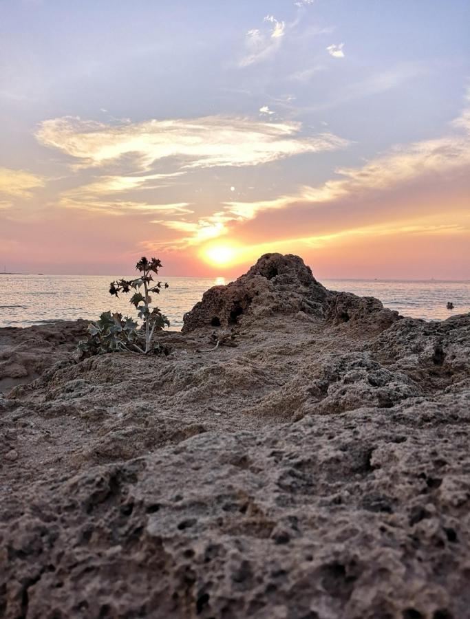 Eccelsoleccese Bed & Breakfast Dış mekan fotoğraf